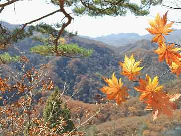 赤峰新中式园林,赤峰新中式园林有哪些